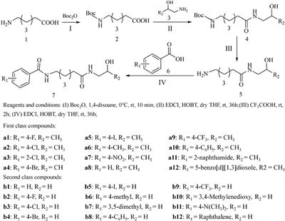 Synthesis and Biological Evaluation of HDAC Inhibitors With a Novel Zinc Binding Group